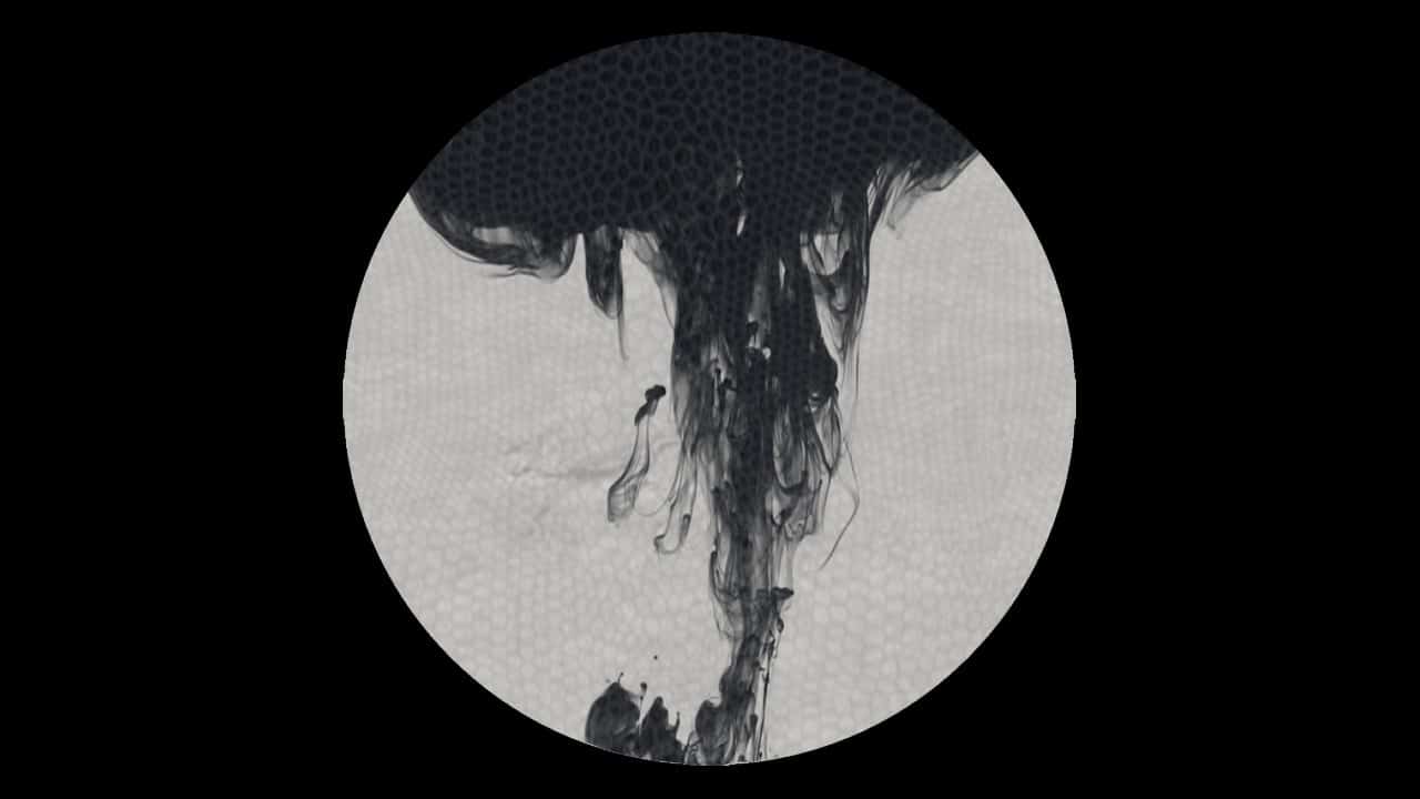 Divide Oisel Ciclo EP Affekt Recordings