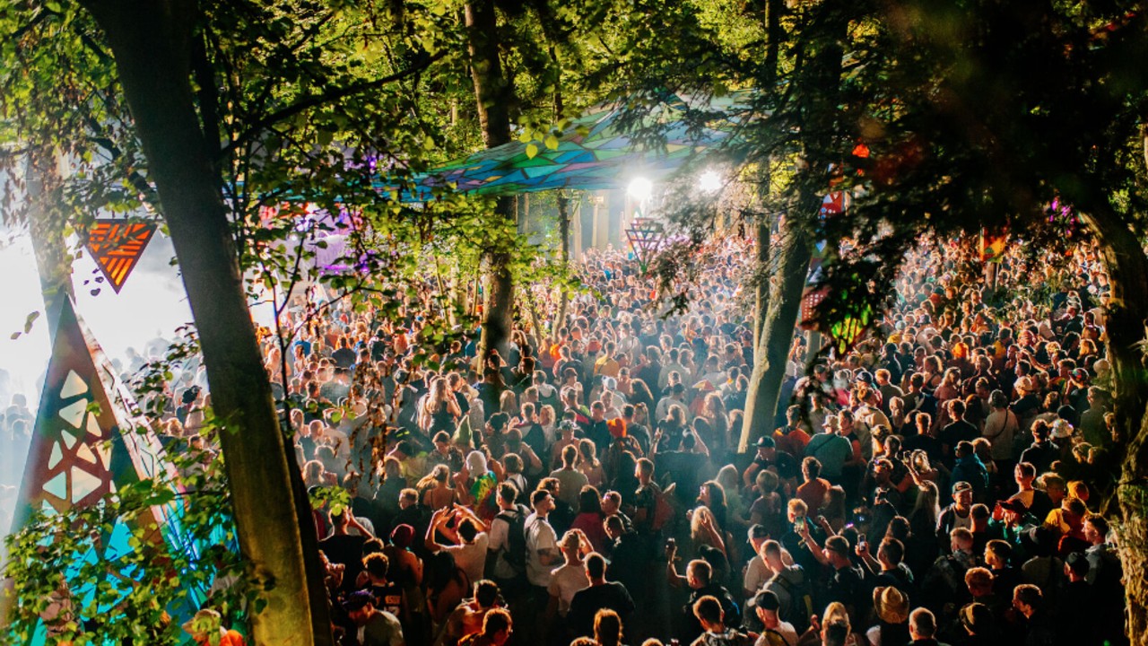 Boomtown Fair crowd trees