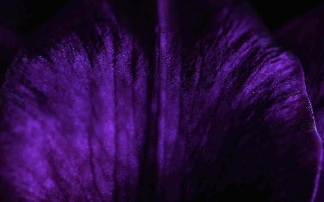 Techno and Adjacent Explored in Blocaus Series Compilation, Era Novum II